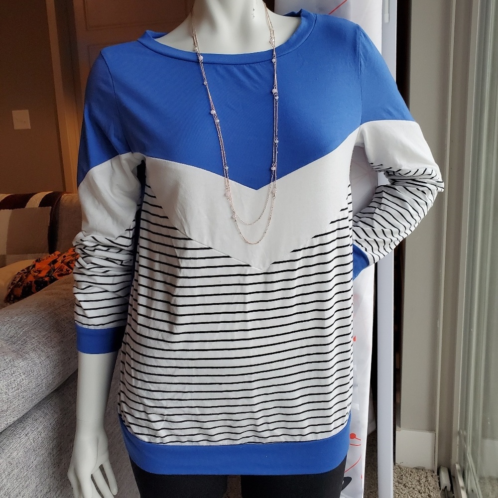 Cobalt Chevron Striped Sweatshirt Small